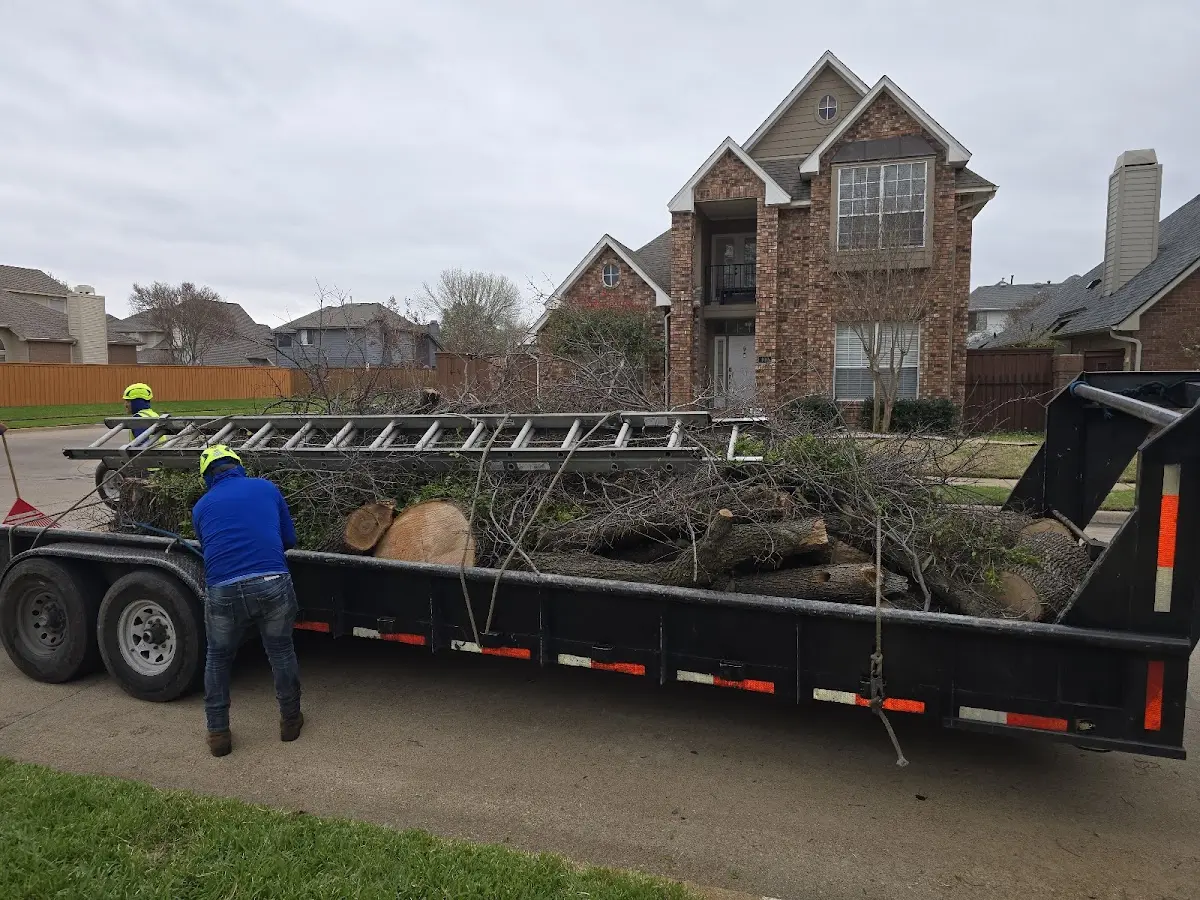 Expert Lot Clearing with proper safety equipment in Hudson
